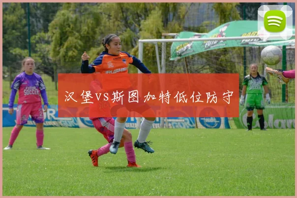 汉堡vs斯图加特低位防守